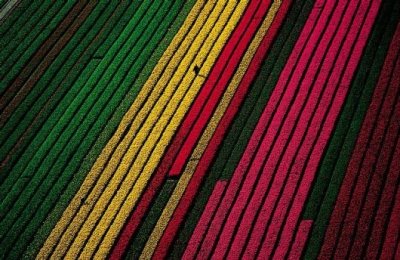 Forrás: Yann Arthus-Bertrand: Földünk a magasból c. könyve Forrás: Yann Arthus-Bertrand: Földünk a magasból c. könyve