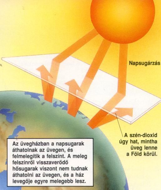 Forrás: www.korinfo.hu