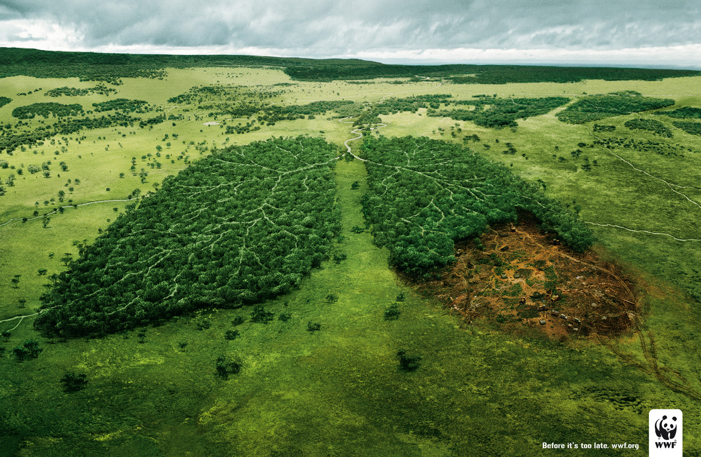Forrás: WWF Forrás: WWF