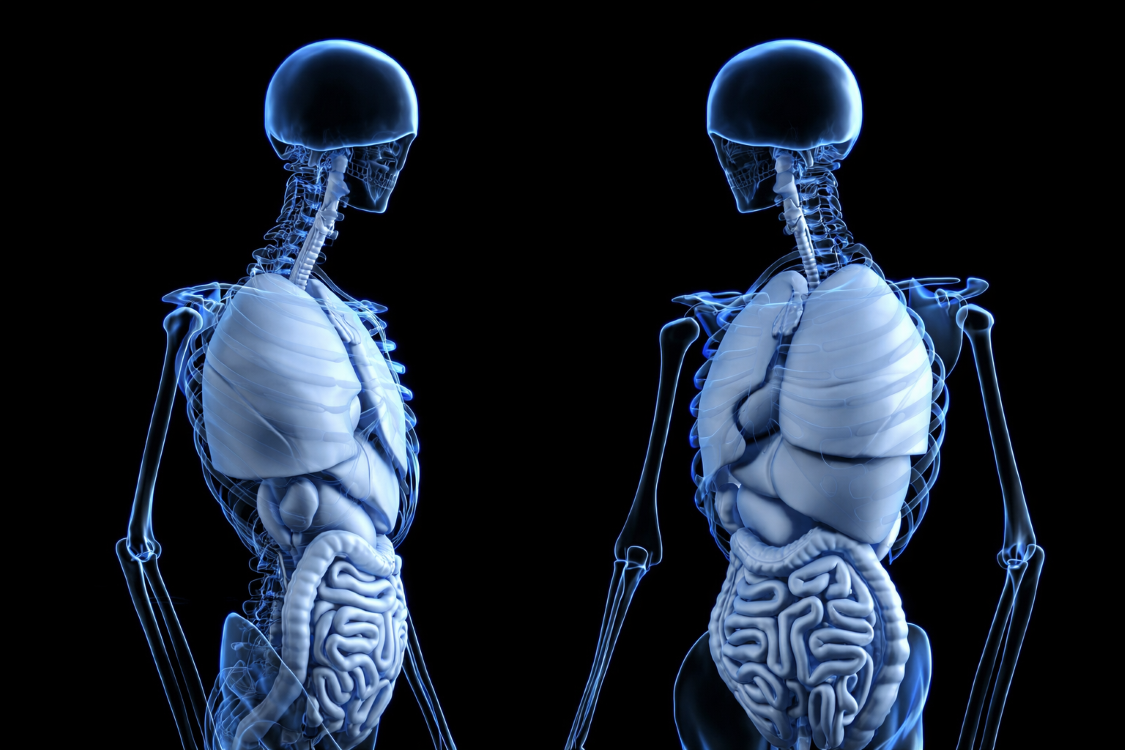 Teljes, „agy nélküli klónstestekbe” ültetnék át tudósok idősebb vagy beteg emberek agyát?