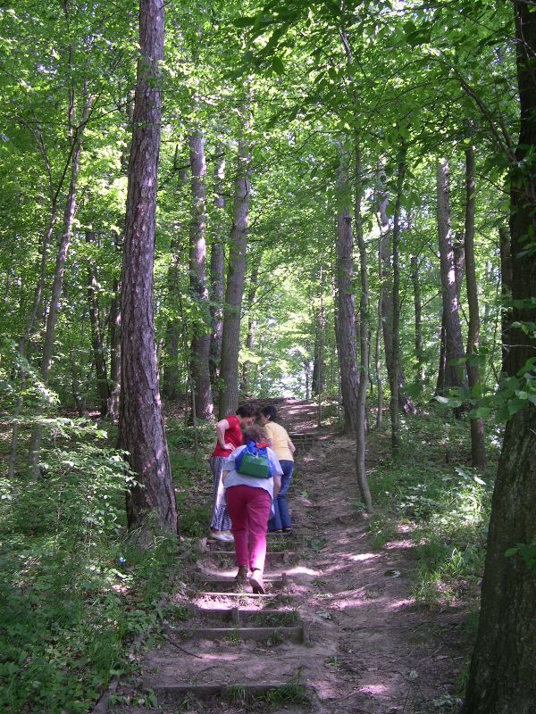 hazai ökotúristák