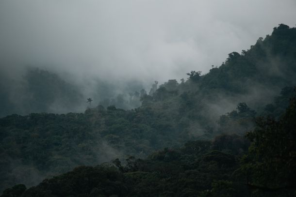 Amazonas szavannizáció bányászat kár
